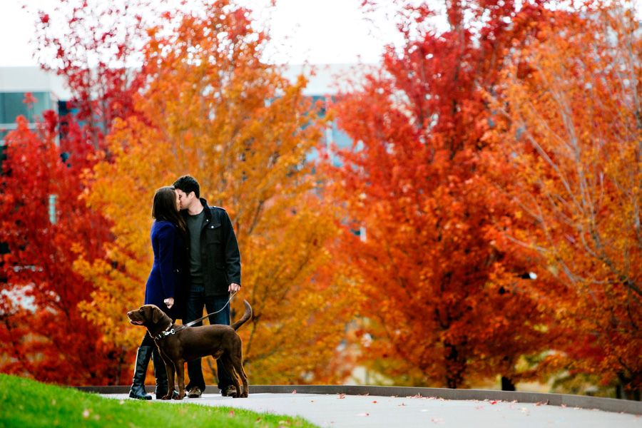 Engagement Portrait Tips. Engagement portrait with a chocolate lab. Image created in brilliant Fall colors in downtown Minneapolis, MN near the Guthrie Theater.