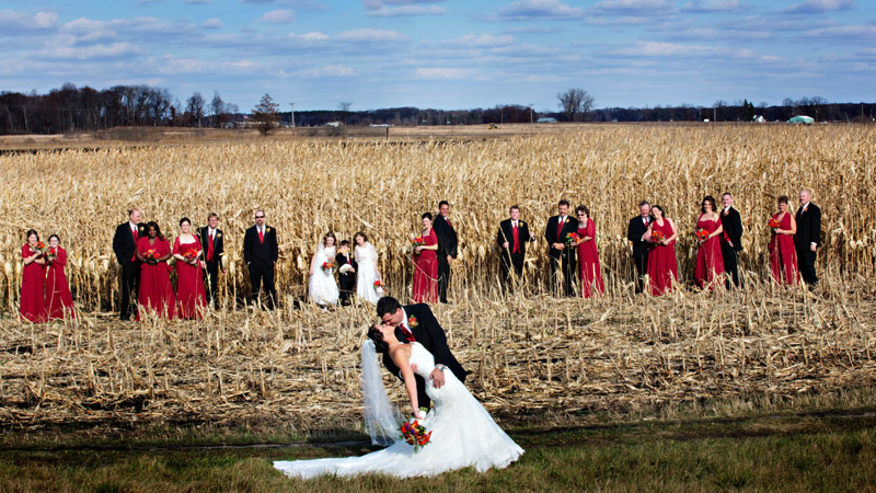 Bride, groom and their wedding party in a corn field (after).