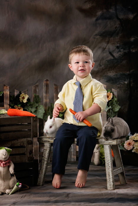 A two year old boy with live bunnies for Easter portraits.