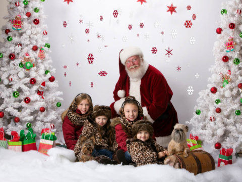 Portraits with Santa Claus 2014. Professional studio portrait featuring four sister and their two puppies along with Santa Claus himself! Kids portrait taken at the studio of Michael Anderson Photography during their "Portraits with Santa Claus" special in November 2014.