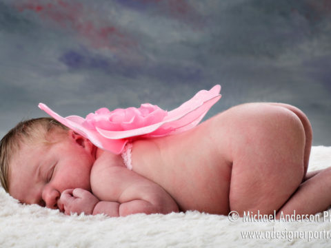 Six day old newborn portraits of a little baby girl with pink fairy wings.