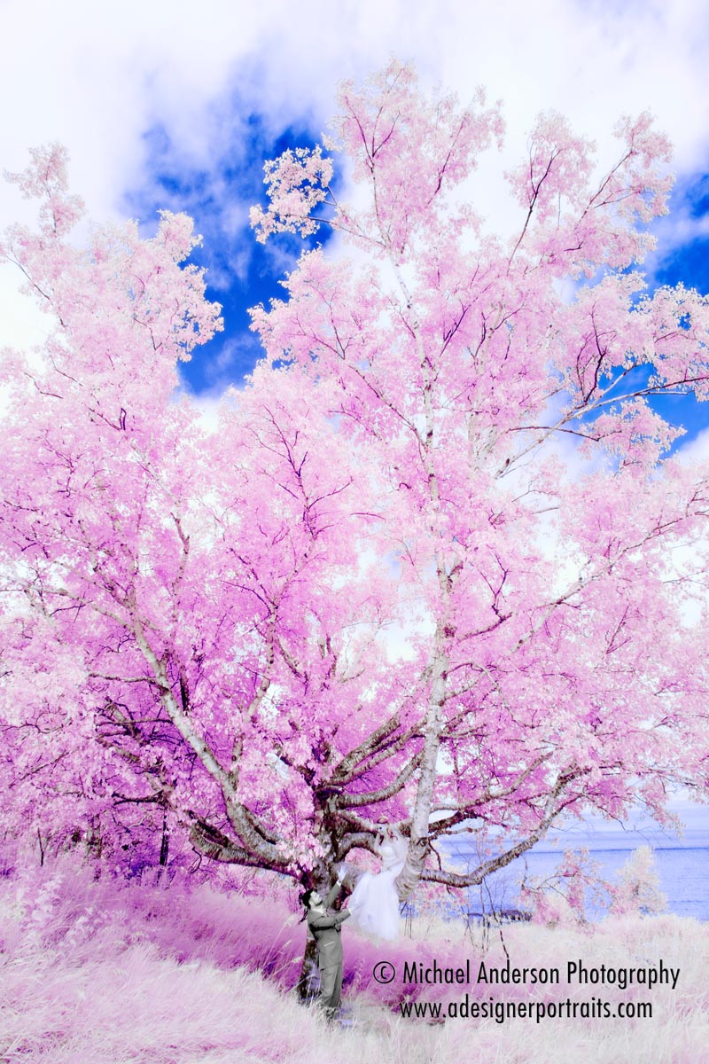 Minneapolis MN Infrared Wedding Photography Mounds View Nisswa