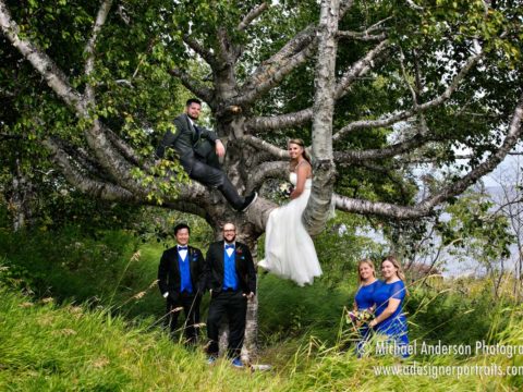 Destination wedding photography of a wedding party with the bride & groom up in a tree at Gooseberry Falls State Park in Minnesota.