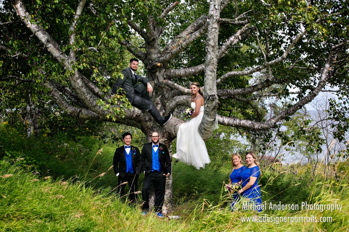 Mn Wedding Photographers Split Rock Lighthouse Photography Destination Wedding Photography Of A Party With The Bride Groom Up In Tree