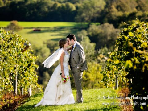 Wedding photography at The Vineyard overlooking the Sogn Valley near Cannon Falls, MN.
