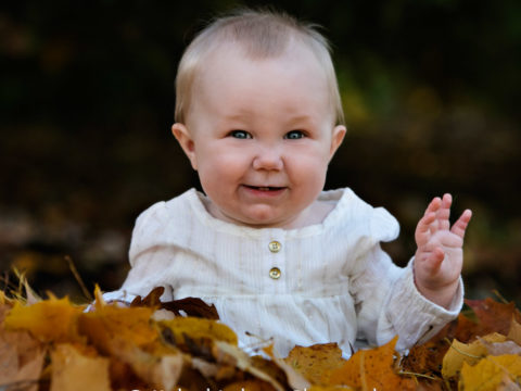 Eight month baby portraits of a cute girl in a pile of fall leaves at Anderson's Portrait Park in Mounds View, MN.