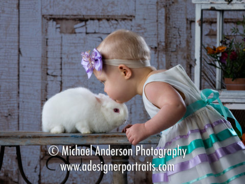 An adorable two year old girl gives our white bunny "Cutie" a big kiss during her 2017 portraits with real bunnies.