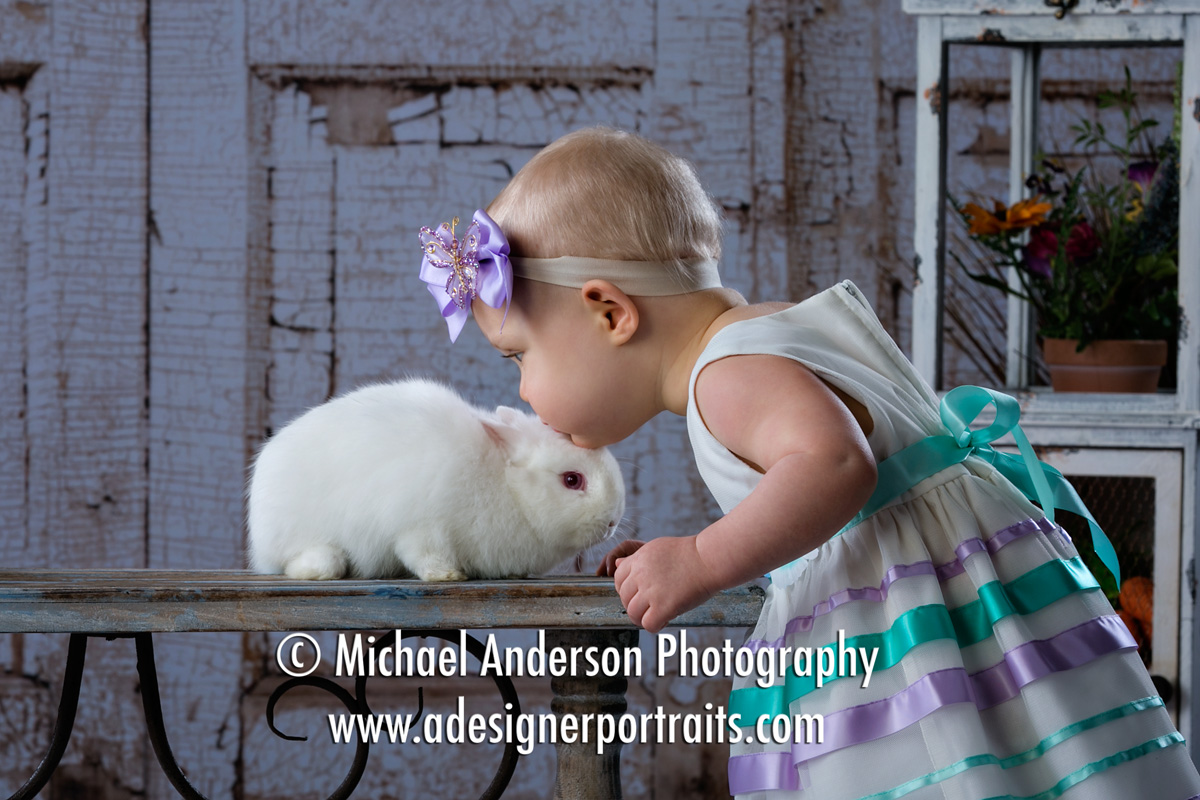 An adorable two year old girl gives our white bunny "Cutie" a big kiss during her 2017 portraits with real bunnies.