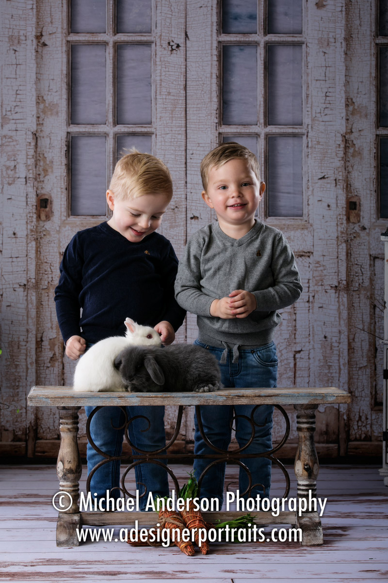 Adorable three year old twin brothers visit our two bunnies for their 2017 portraits with real bunnies.