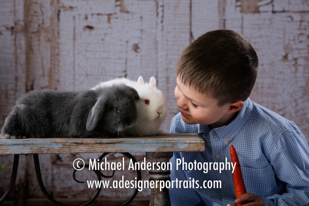 Mounds View Photographer. An adorable five year old boy has his 2017 Easter Portraits with Real Bunnies.