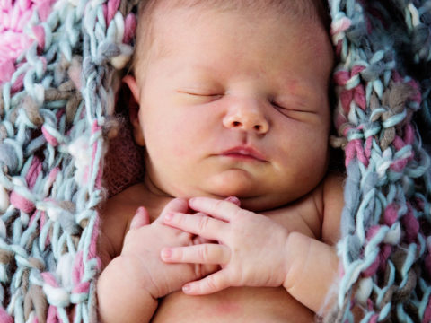 One of Sydney's adorable two-week-old newborn portraits taken while she took a nap!