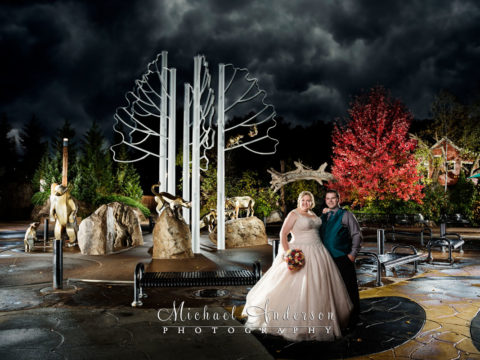 Light Painting Wedding Photography. A stunning Minnesota Zoo light painting photograph created at the zoo's Central Plaza.