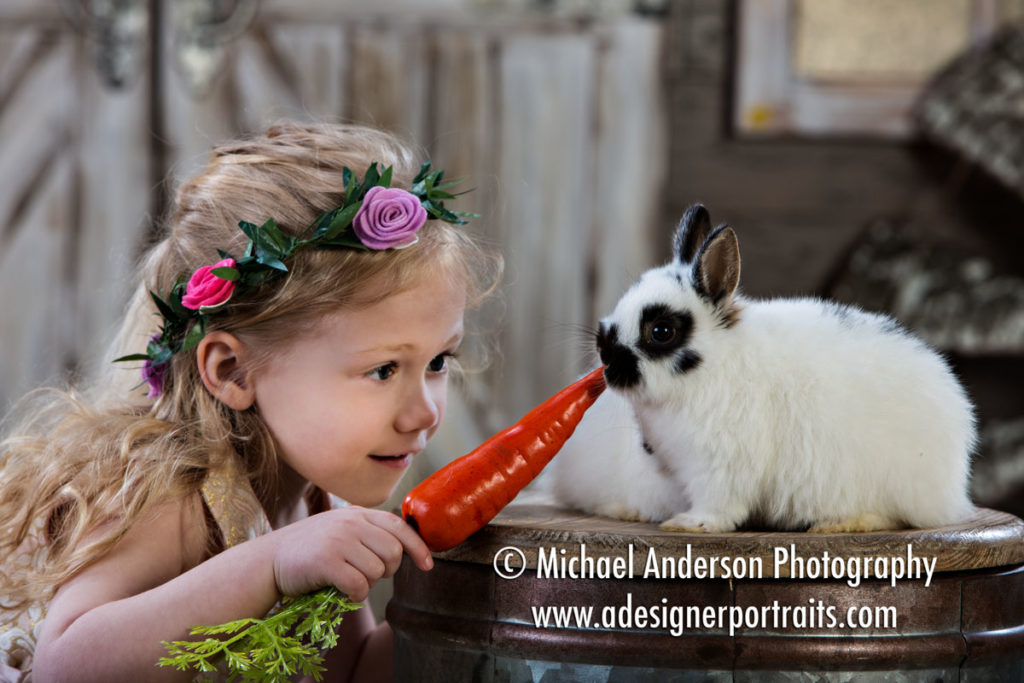 A cute little girl gets a close up look at our cute bunnies. Mounds View MN Photographer Easter Bunny Portraits 2018.
