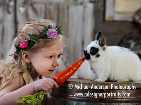 A cute little girl gets a close up look at our cute bunnies. Mounds View MN Photographer Easter Bunny Portraits 2018.