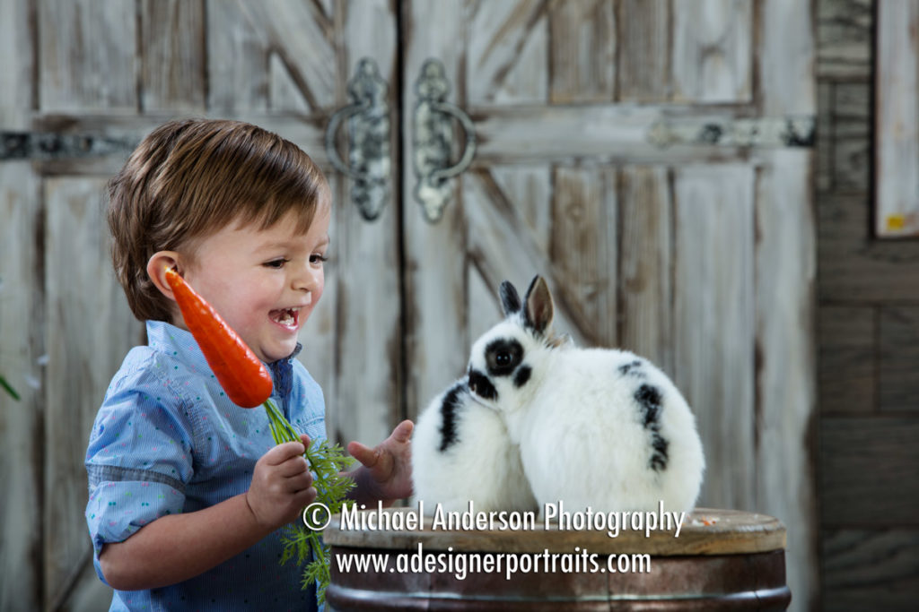 Mounds View MN Portrait Photographer Easter Photos With Real Bunnies. An adorable little boy is entertained by our two cute bunnies!