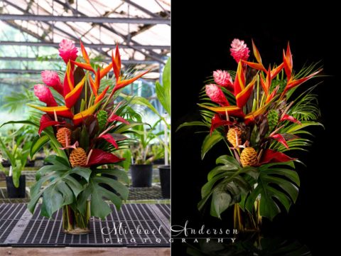 A stunning before and after light painted tropical flower arrangement at Hana Tropicals on Maui, Hawaii.
