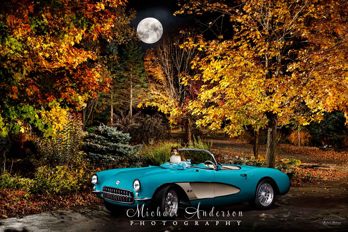 A pretty light painted photograph of a 1957 C1 Corvette and a cute Sheltie.