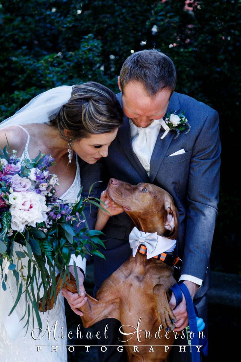 Wedding photo of the bride and groom along with their dog.