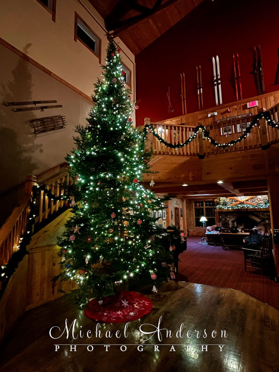 The pretty 2022 Christmas Tree in the lobby at Cove Point Lodge.