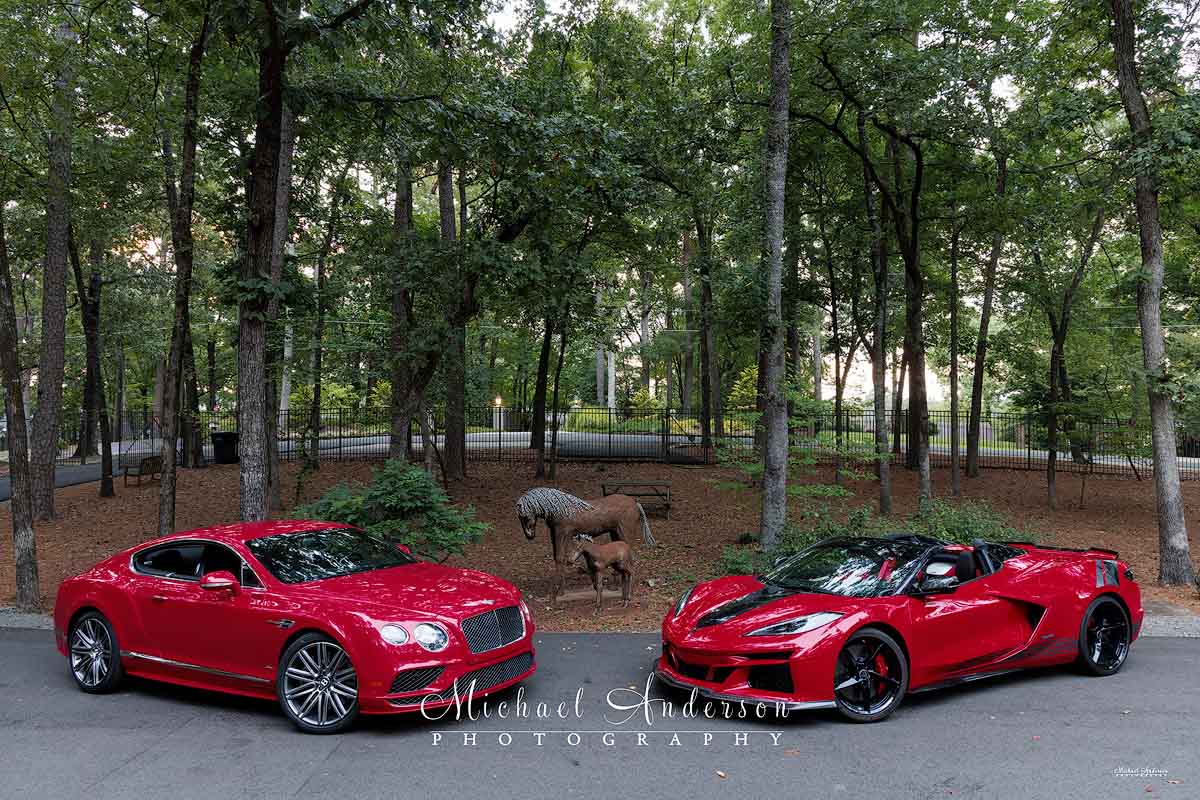 Bentley and a Corvette E-Ray - Mounds View MN Photographers
